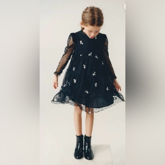 Zara Kids Girl Embroidered Tulle Dress Lined Black Sz 13-14 Sheer Long Sleeve - Picture 2 of 16
